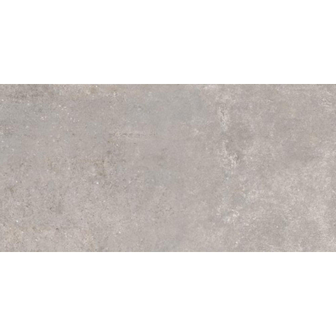 Ceralto Framel Carrelage de sol - 59.7x119.7cm - 9.0mm - rectifié - gris SW1175031