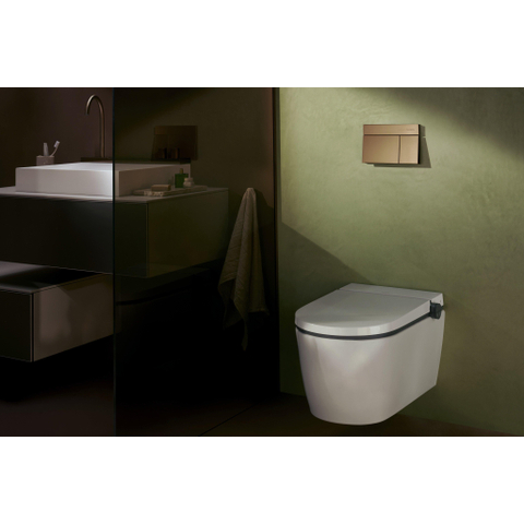 Hansgrohe IFrame Element E Drukplaatvoor - dualflush - brons SW1388329