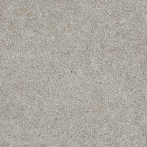 Ceralto Gravito Raw Carrelage de sol - 80x80cm - 9.0mm - rectifié - gris SW1242650