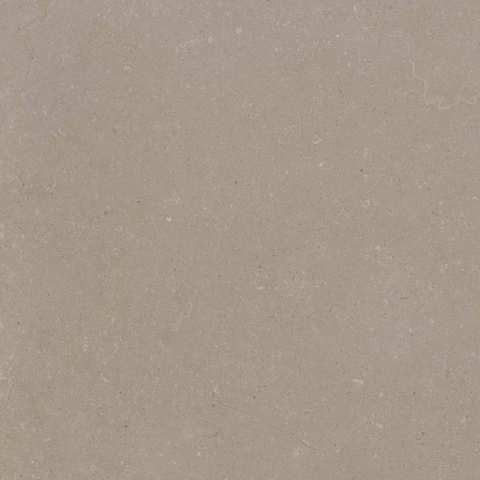ÉCHANTILLON Terravito Selvico Carrelage parquet céramique murale et de sol - 60x60cm - 9mm - Sand SW1579559