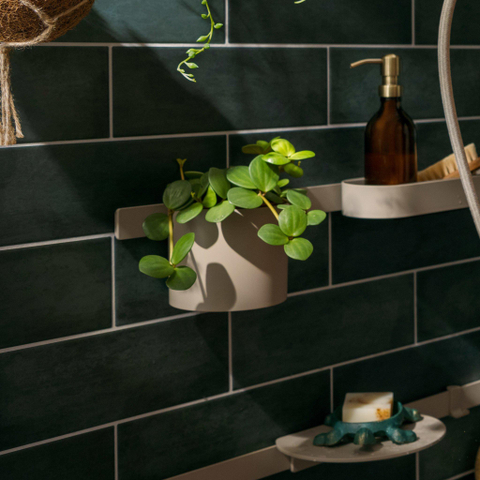Hansgrohe WallStoris Planet Edition tandenborstelhouder - mat zand (beige) SW918250
