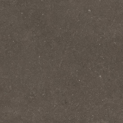 Ceralto Karsio Rock Tegels slabs klein - 120x120cm - 9.0mm - gerectificeerd - Noble brionne SW1529439