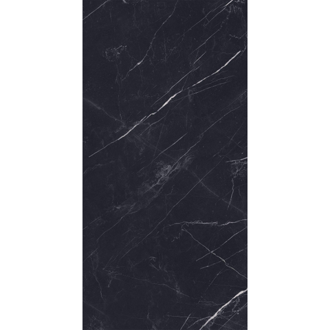 ÉCHANTILLON Terravito Dareno Carrelage de sol et de mur - 60x120cm - rectifié - brillant Noir SW1221533