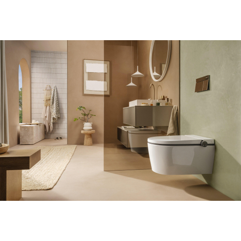 Hansgrohe IFrame Element E Drukplaatvoor - dualflush - brons SW1388329