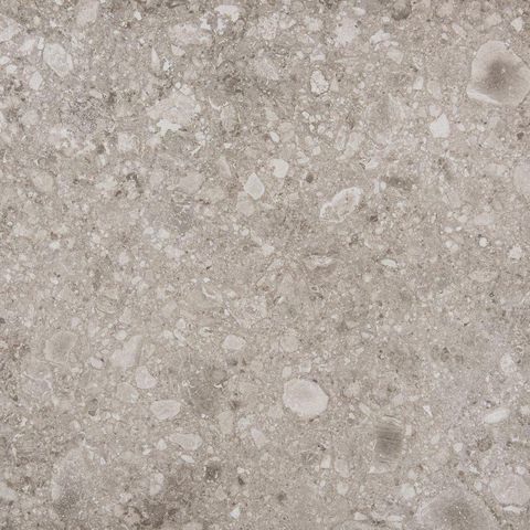Vtwonen Carrelage de sol et mural Composite 60x60cm 9mm rectifié R10 porcellanato Gris Foncé SW367678