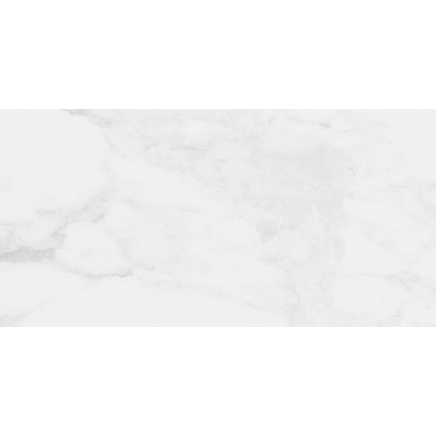 ÉCHANTILLON Ceralto Elmira Plank 300X600 Natura Kalacata R819 Gris SW1122925