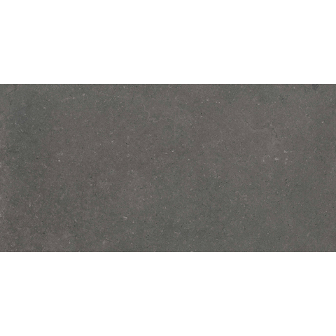 ÉCHANTILLON Terravito Selvico Carrelage parquet céramique mural et de sol - 60x120cm - 9mm - Anthracite SW1579565