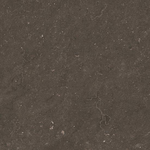 Ceralto Karsio Rock Vloertegel - 60x60cm - 9.0mm - gerectificeerd - Noble brionne SW1529613