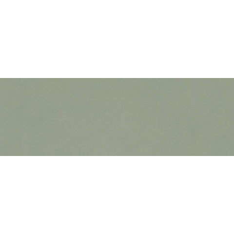 ÉCHANTILLON Terravito Alerno carreau mural - 40x120cm - 7mm - rectifié - Vert SW1130644