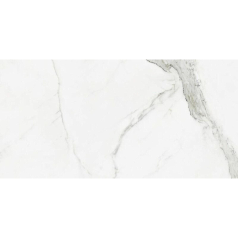 Terravito Alpuro carreau mural et de sol - 60x120cm - 10mm - Carré - rectifié - effet marbre - blanc/noir brillant SW542091