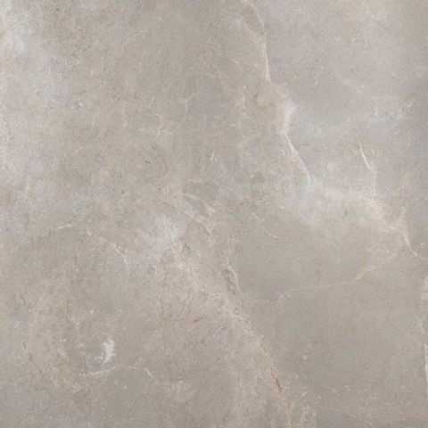 ÉCHANTILLON Ceralto Briano Accent Carrelage sol et mur 100x100cm 6mm rectifié R10 grès cérame Palladium Grey SW912635
