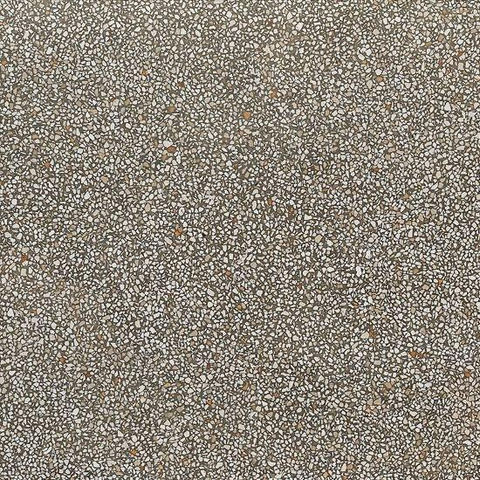 ÉCHANTILLON Terravito Lavena carrelage murale et de sol - 60x60cm - 10mm - Carré - rectifié - Béton gris SW736155