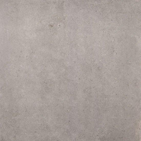 ÉCHANTILLON Ceralto Acerno Plank Carrelage sol et mur 100x100cm 8.5mm rectifié R10 grès cérame Grey SW976593