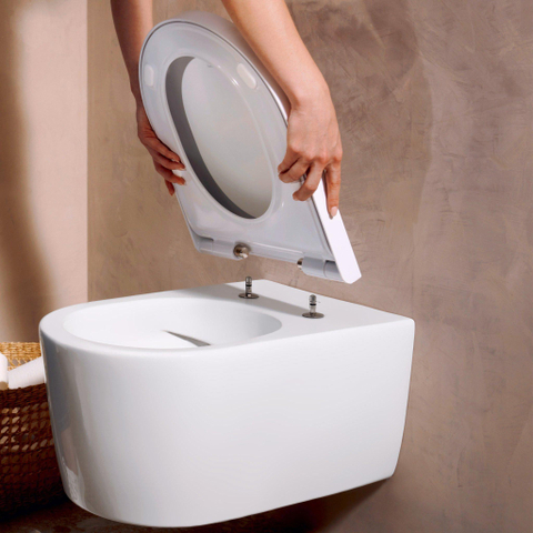Hansgrohe EluPura S Closetcombinatie SW1406566