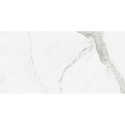 ÉCHANTILLON Terravito Alpuro carreau mural et de sol - 60x120cm - 10mm - Carré - rectifié - Aspect marbre - Blanc/noir brillant SW735966