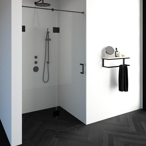 BRAUER Void nisdeur 2-delig helder glas 120x200 omkeerbaar met draaideur 60 aan glas incl. glascoating mat zwart SW223823