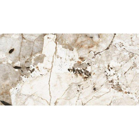 ÉCHANTILLON Ceralto Alabro Vein carrelage sol et mur 60X120cm rectifié Tundra Brillant SW915205