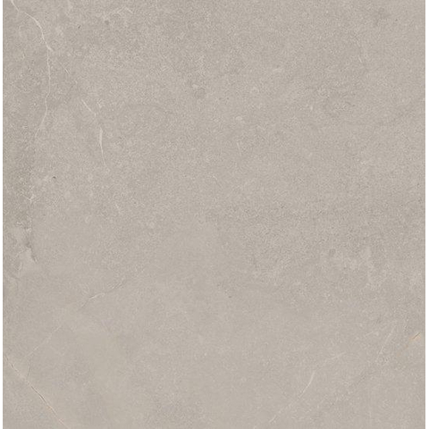 SAMPLE Ceralto Statuva Marble Carreau de sol - 60x60cm - 9.0mm - rectifié - calcaire gris SW1474530