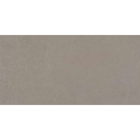 Terravito Selvico Carrelage parquet céramique mural et sol - 60x120cm - 9mm - Greige SW1579472