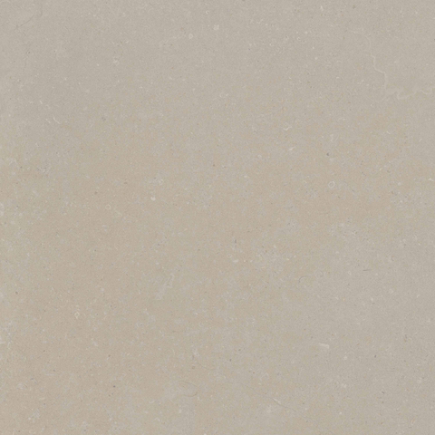 ÉCHANTILLON Terravito Selvico Carrelage parquet céramique murale et de sol - 60x60cm - 9mm - Bone SW1579556