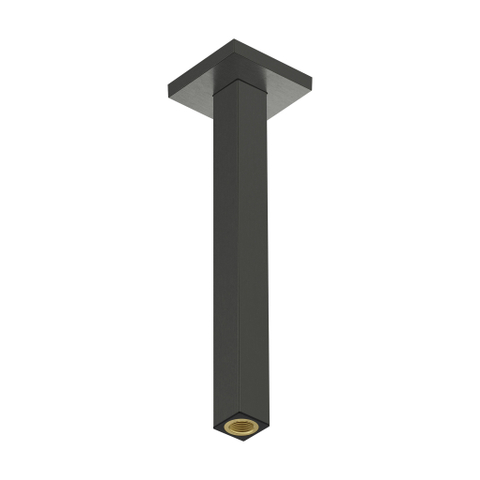 Hansgrohe Raindance alive Plafondaansluiting E - 300mm - geborsteld zwart chroom (antraciet) SW1388127