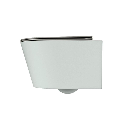 Mondiaz LAVIE WC suspendu – sans bride – 36 x 53 cm – avec abattant softclose – Greey (vert clair/gris), abattant Smoke (brun clair) SW1208729