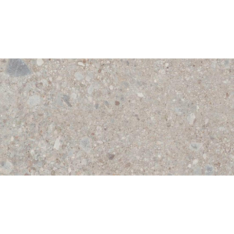 Ceralto Fracto Grain Carrelage de sol - 60X120 - 6mm - mat - gris SW1579008