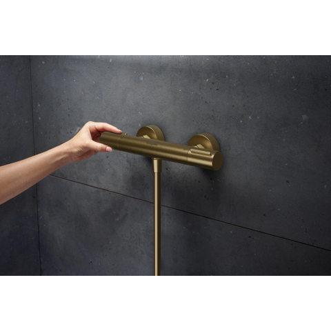 Hansgrohe Ecostat Element opbouw douchethermostaat Brushed Bronze SW1566536