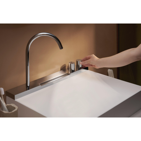 Hansgrohe Avalegra Wastafel / Fontein SW1387807