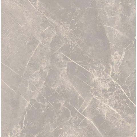SAMPLE Ceralto Statuva Marble Carreau de sol - 60x60cm - 9.0mm - rectifié - Grey dolomia SW1474534