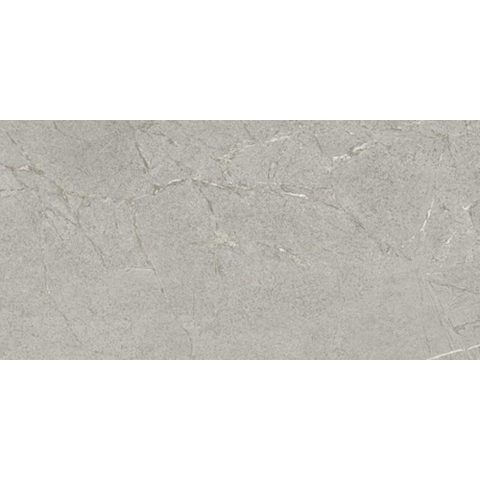 Ceralto Roccato Mineral Carrelage de sol - 60X120 - 6.5mm - mat - argent SW1579104