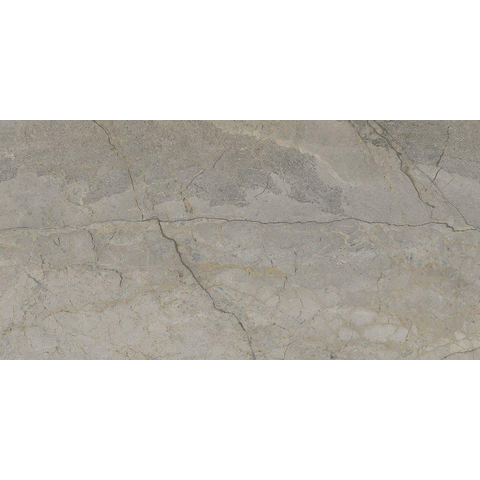 ÉCHANTILLON Terravito Waldoro carreau mural et de sol - 60x120cm - 10.5mm - Rectangle - rectifié - Aspect marbre - Gris poli SW736062