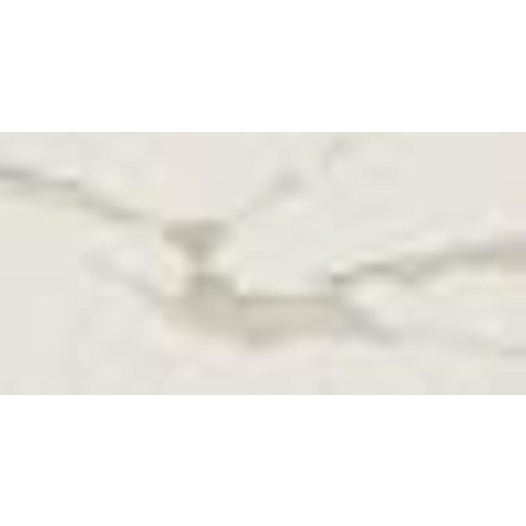 Terravito Adesio Carrelage sol et mur - 30x60cm - rectifié - mat crème SW729937