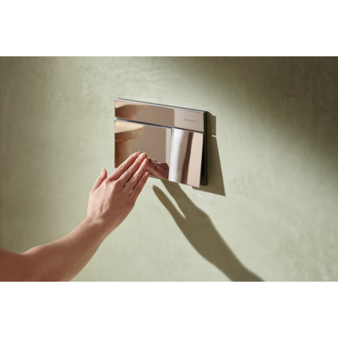Hansgrohe IFrame Element E Bedieningsplaat - 23x15cm - dualflush - chroom SW1406569