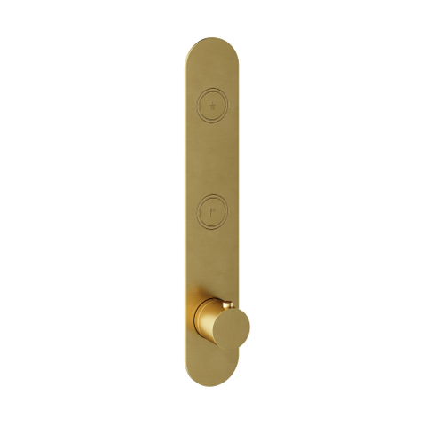 Hotbath Cobber Afbouwdeel inbouwthermostaat - met 2 pushbuttons verticale plaatsing geborsteld messing - PVD - (goud) SW229954