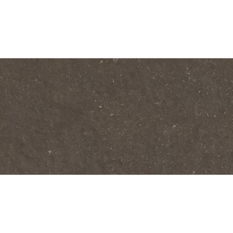 Ceralto Karsio Rock Vloertegel - 60x120cm - 9.0mm - gerectificeerd - Noble brionne SW1529503