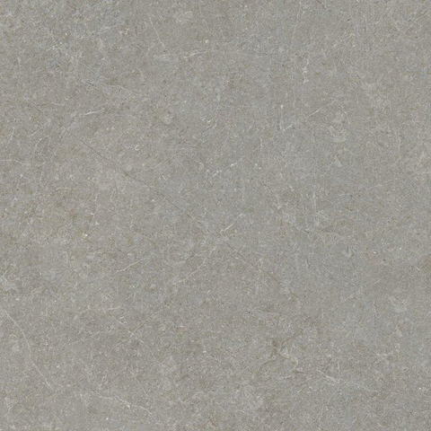 ÉCHANTILLON Terravito Elvano Carrelage parquet céramique mural et de sol - 120x120cm - rectifié - Greige SW1579543