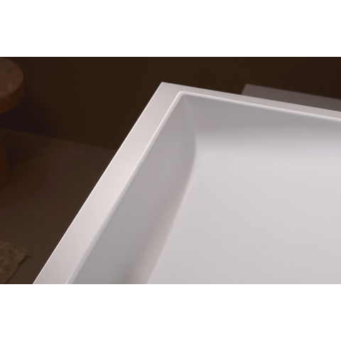 Hansgrohe Avalegra Wastafel / Fontein SW1387767