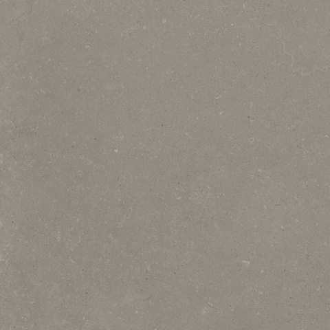ÉCHANTILLON Terravito Selvico Carrelage parquet céramique mural et de sol - 60x60cm - 9mm - Greige SW1579557