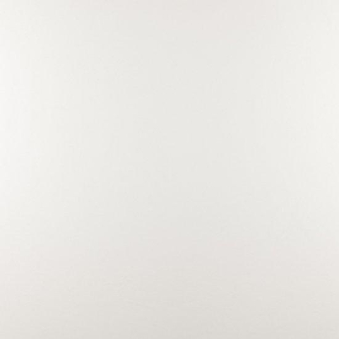 ÉCHANTILLON Ceralto Briano Accent Carrelage sol et mur 100x100cm 6mm rectifié R9 grès cérame White SW912626