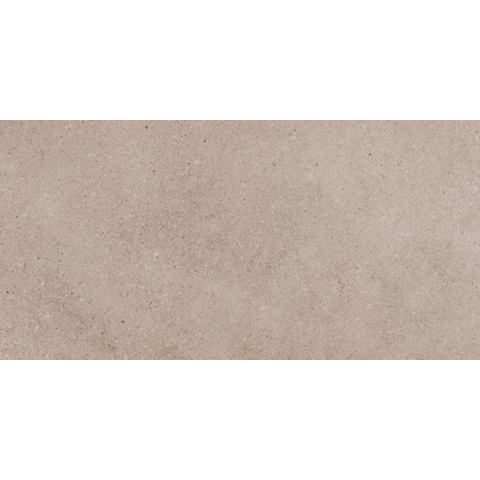 ÉCHANTILLON Ceralto Orsini Studio Carreau de sol - 30x60cm - 8.5mm - Gris SW1557820