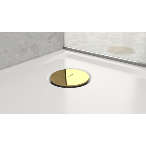 Hansgrohe Raindrain kleurset polished gold optic SW1388242
