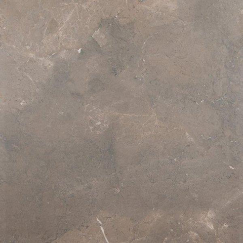 ÉCHANTILLON Ceralto Briano Accent carreau de sol et de mur Uni 100x100cm IMPERIAL BROWN SW976486
