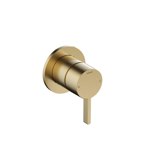 Hotbath Ace Afbouwdeel - douchemengkraan - PVD - geborsteld messing (goud) SW1117689