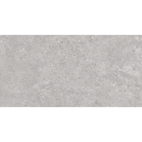ÉCHANTILLON Terravito Larino Pearl mat 60x120 rett SW1221572