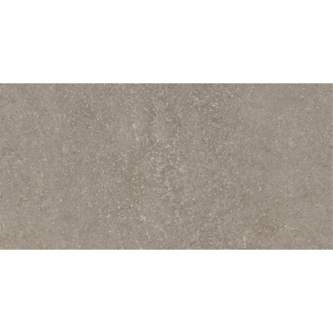 Ceralto Olivaro Sete Vloertegel - 30X60 - 10mm - mat - zilver SW1578739