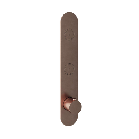 Hotbath Cobber Afbouwdeel inbouwthermostaat - met 2 pushbuttons verticale plaatsing - PVD - geborsteld koper SW229955