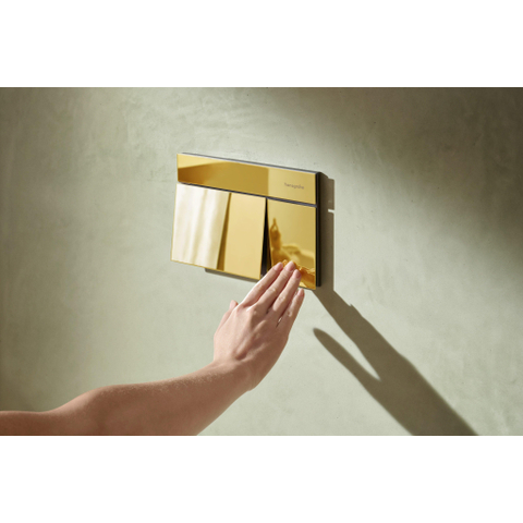 Hansgrohe IFrame Element E Bedieningsplaat spoelsysteem SW1413592
