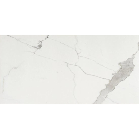 Ceralto Valerio Mini Carrelage de sol - 59.7x119.7cm - 9.0mm - rectifié - Calacatta SW1175155