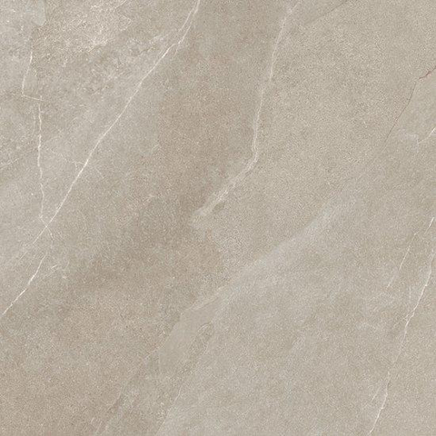 ÉCHANTILLON Ceralto Marea Slate 800X800 Shale Taupe SW1122991